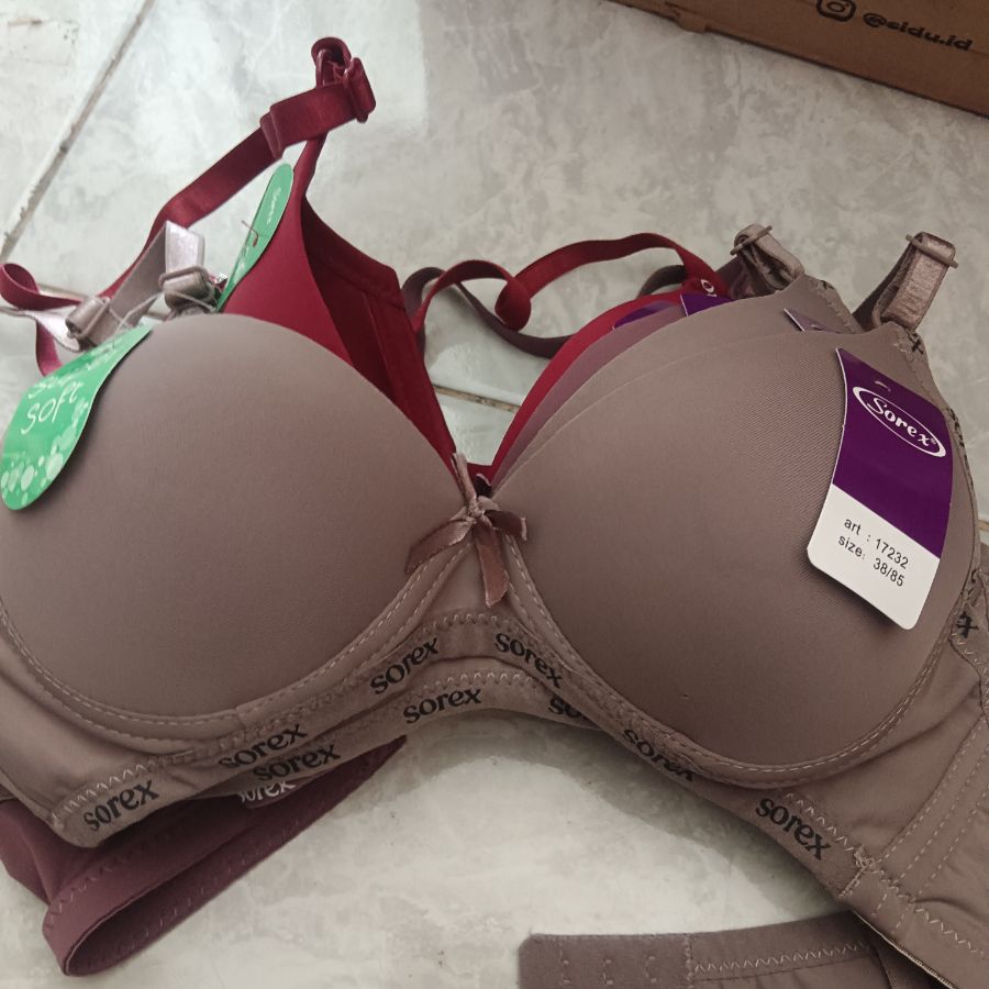 BH Sorex 17232