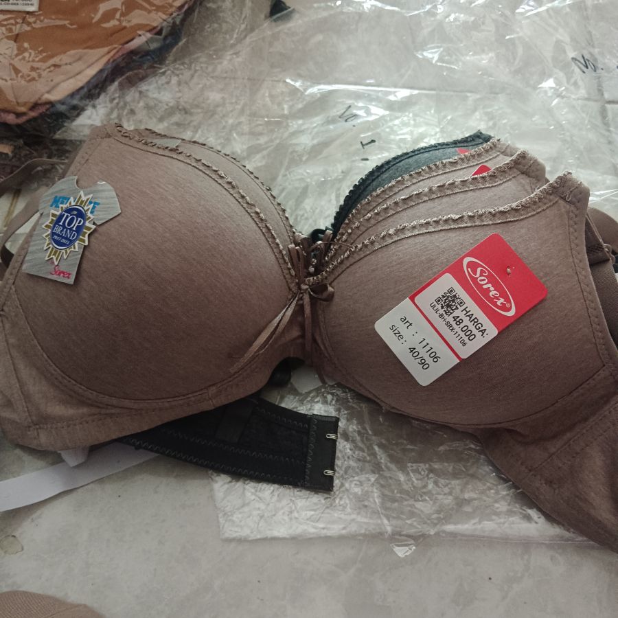 BH sorex 11106