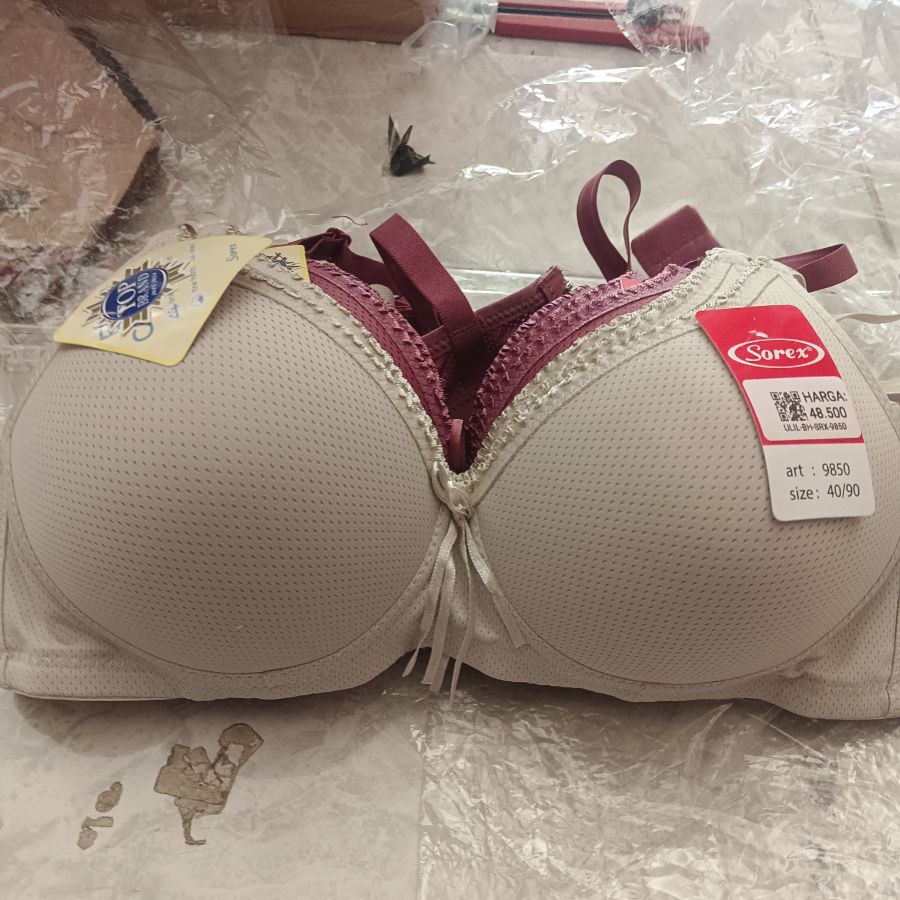 BH Sorex 9850