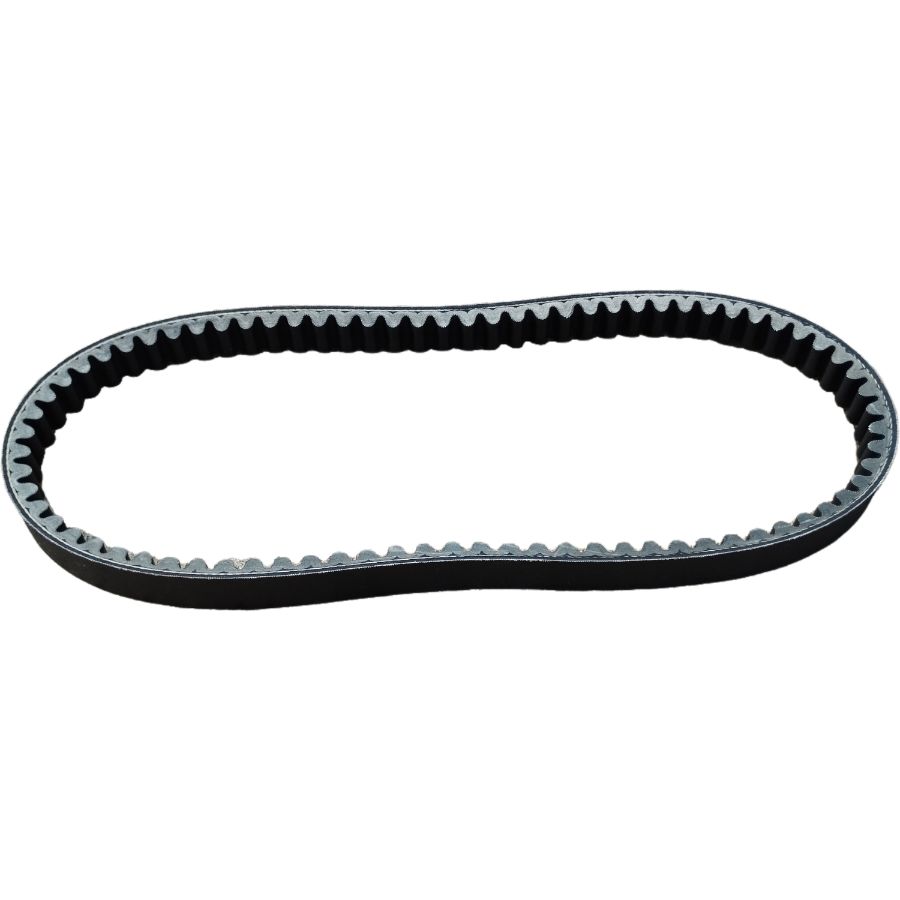 Vanbelt only Mio J YGP