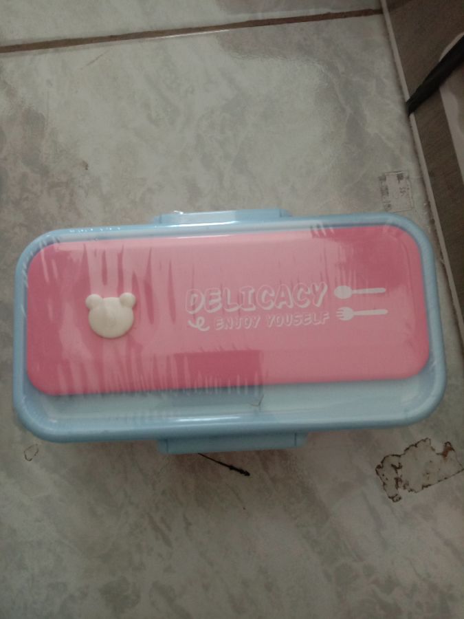Lunch Box  Delicacy