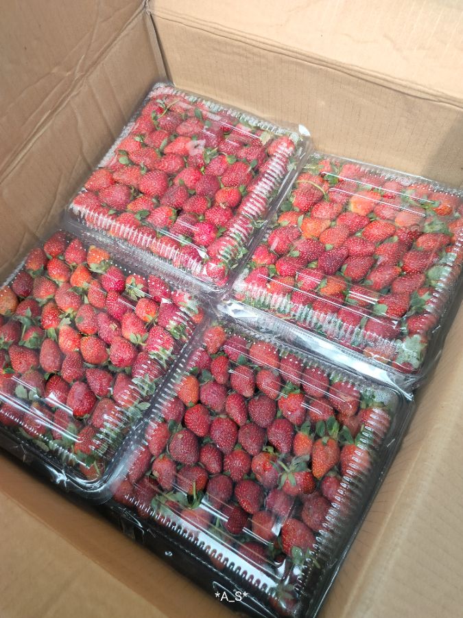 Strawberi box