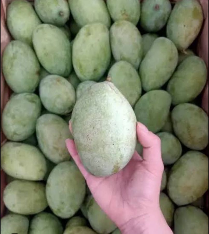 mangga manalagi 1kg