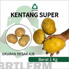 Kentang 1kg