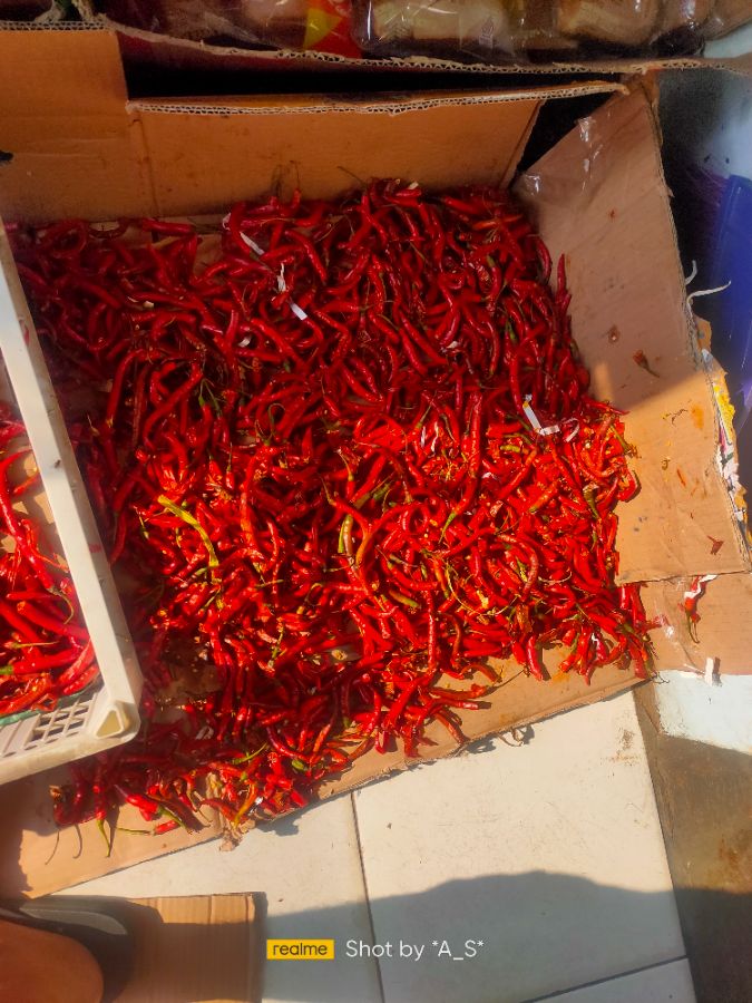 Cabe rawit 1kg