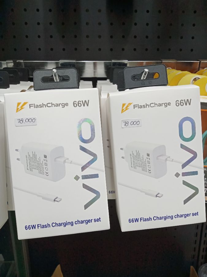 Travel Charger/VIVO FLASH CHARGE 66W/TYPE-C