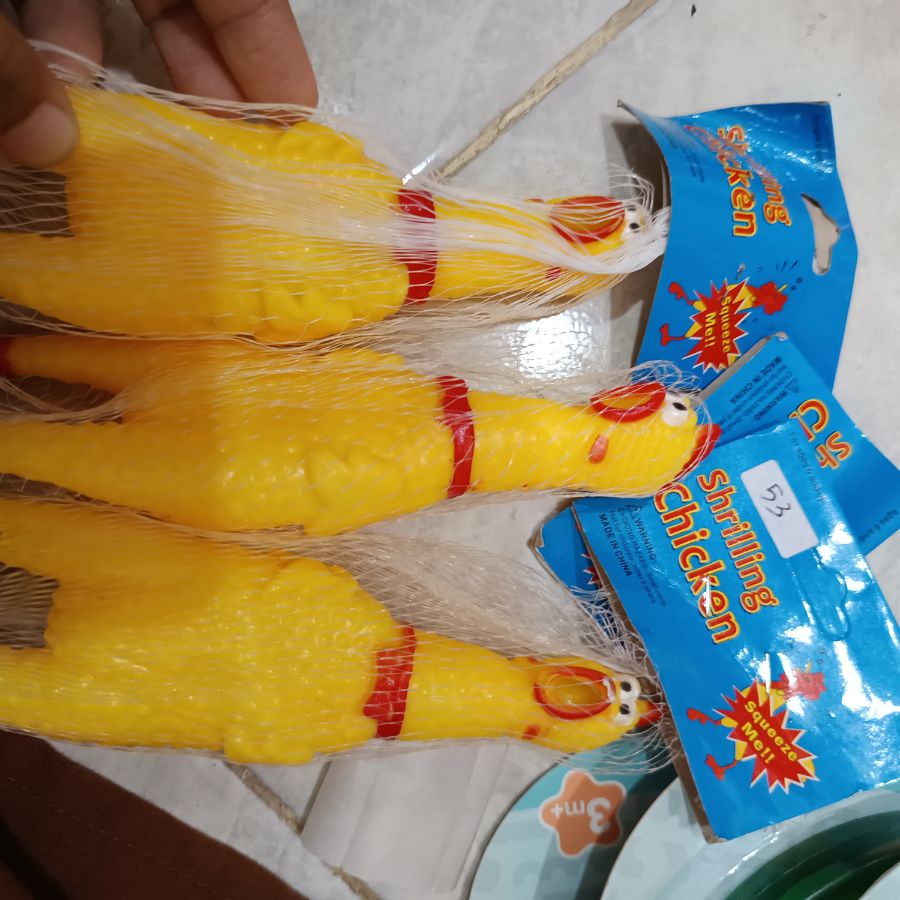 Shrilling Chicken Mini
