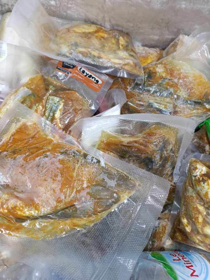 Ikan bawal isi 1