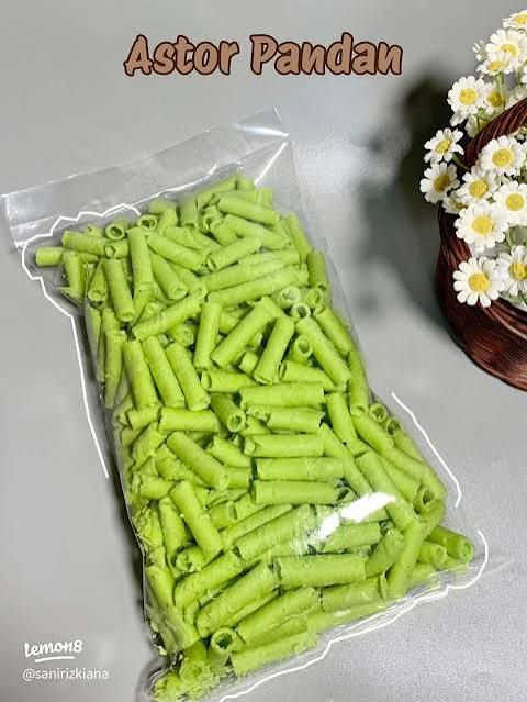 Astor plastik
