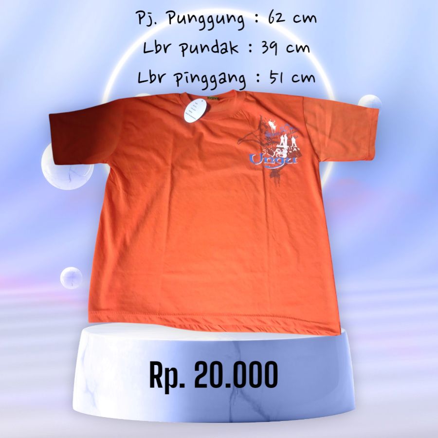 Baju kaos lengannlendek Fianly