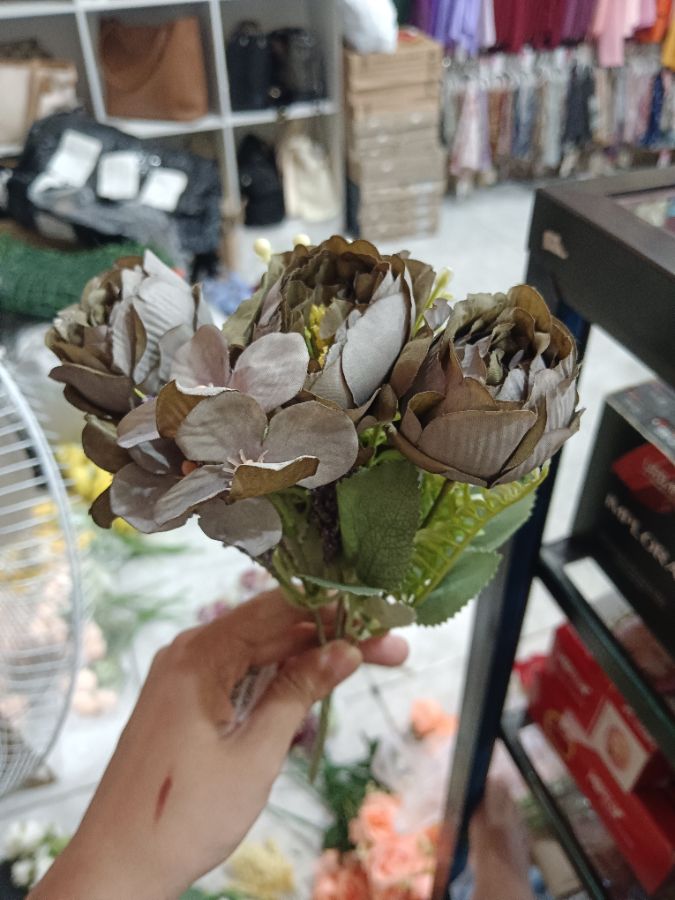 Bunga Camelia Cabang 5 Abu