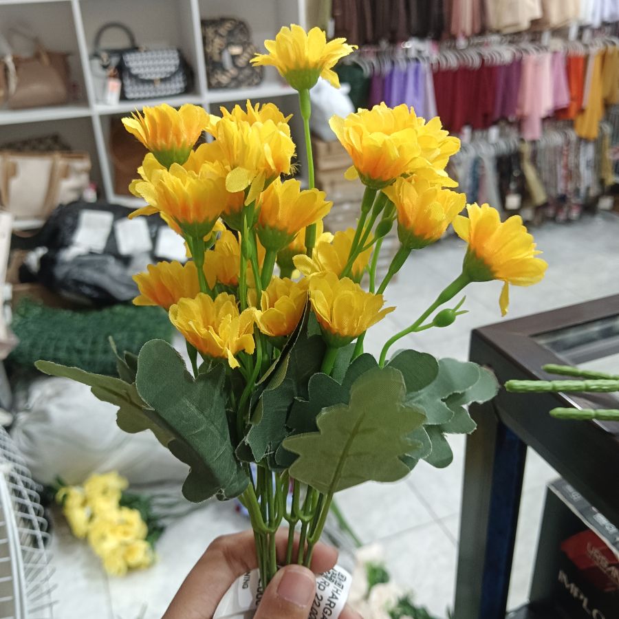 Bunga Daisy Monstera