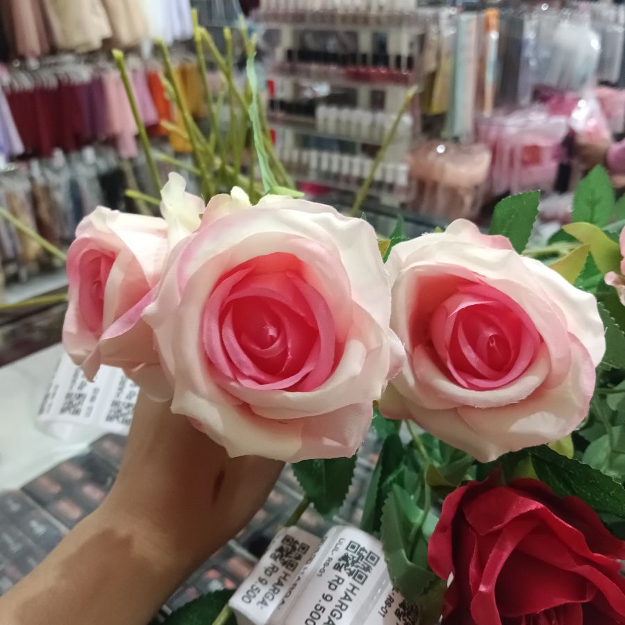 Rose Bludru Panjang