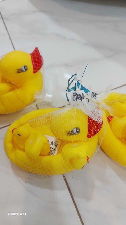 Bebek karet anak