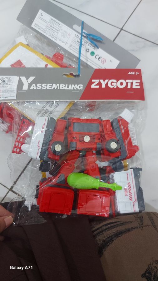 Zygote