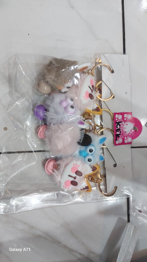 Ganci owl cat
