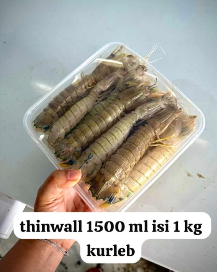 udang ronggeng