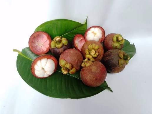 manggis 1kg