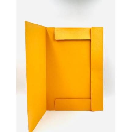 MAP BIOLA BIASA WARNA ORANGE