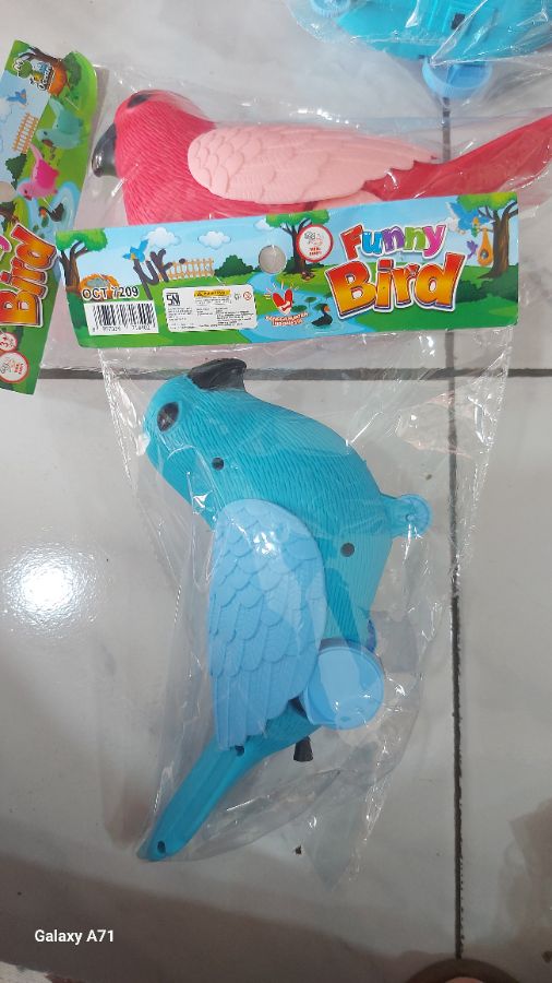 Funny bird