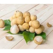 dukuh 1/2 kg