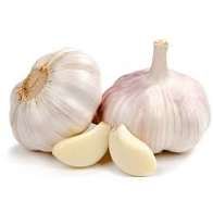 bawang putih