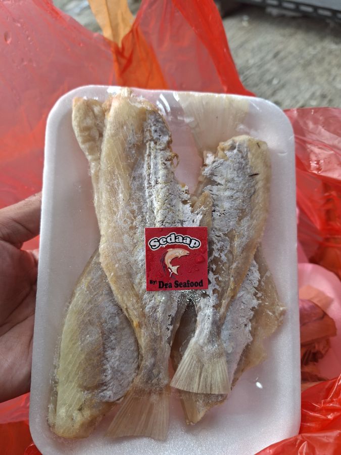 Ikan asin swim