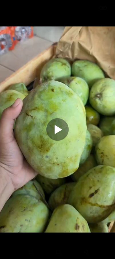 mangga indramayu 1kg