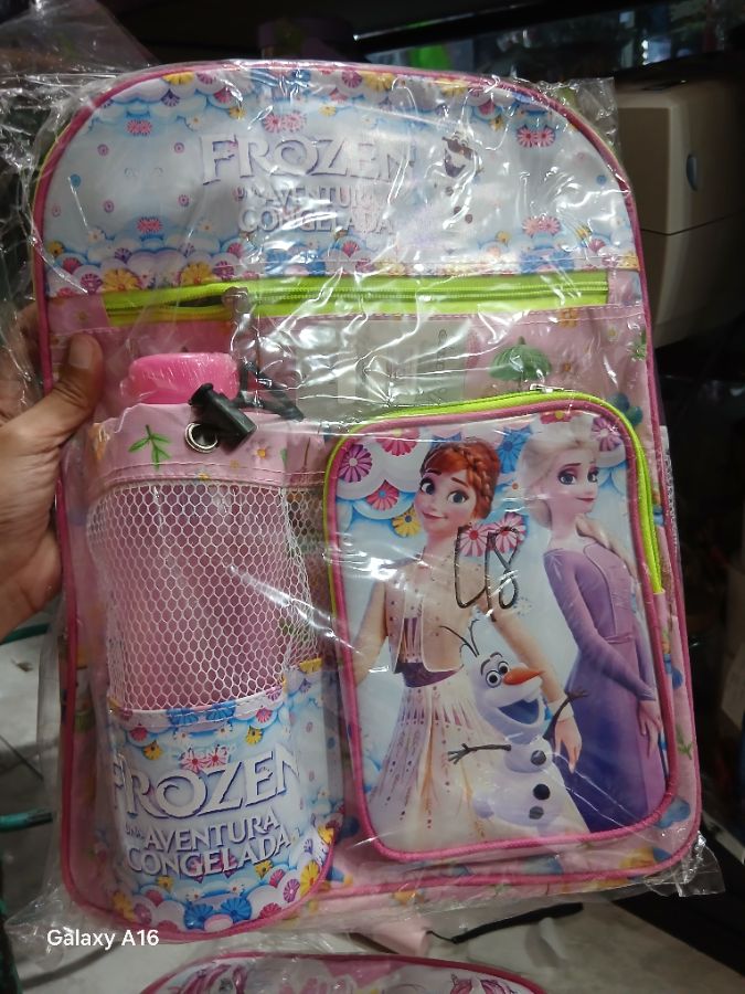 Tas Sekolah Anak Frozen Free Botol Minum