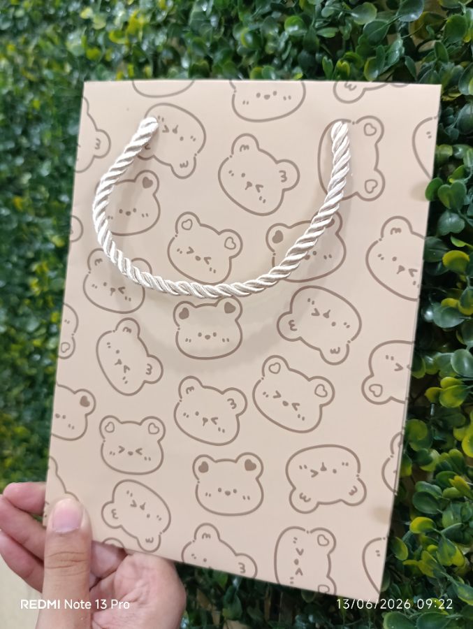 Paper Bag Bear