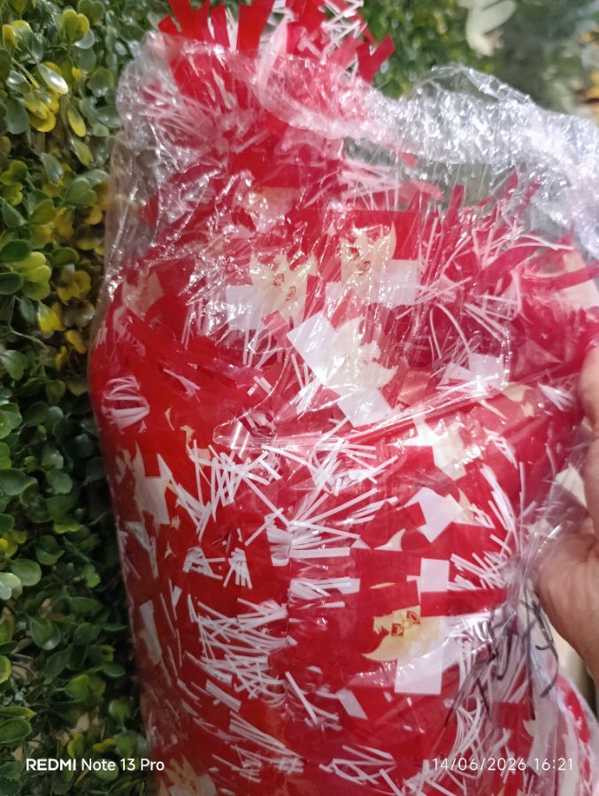 Slanger Merah Putih - Bendera Garuda