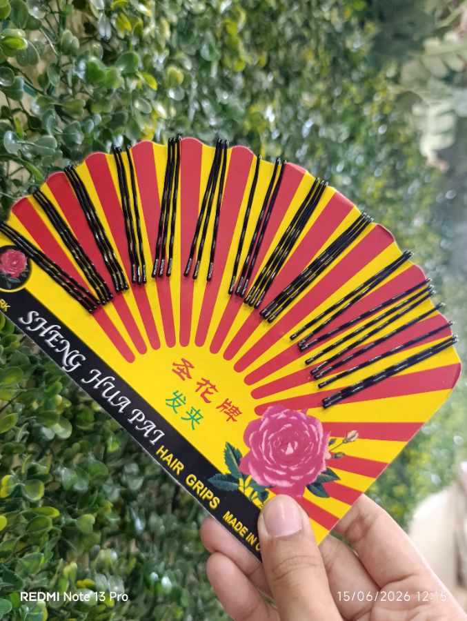 Hair Pins Clip