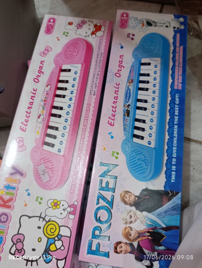 Electronic Organ - Piano