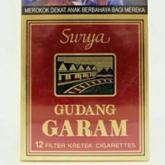SURYA 12