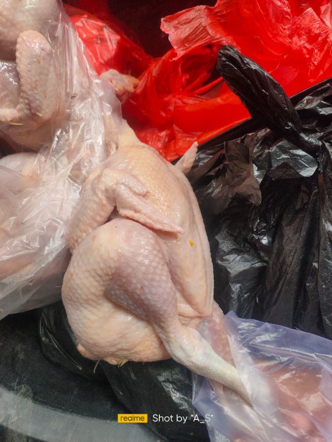 Ayam broiler