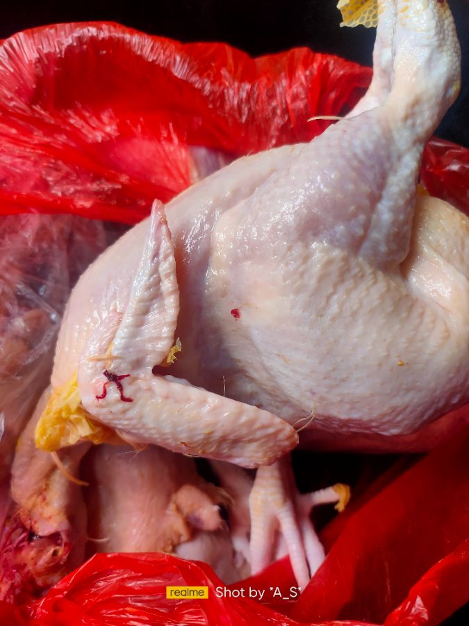 Ayam kampung 1 ekor