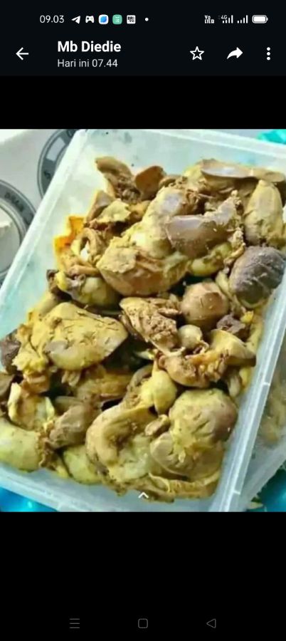 Ati ayam ungkep 