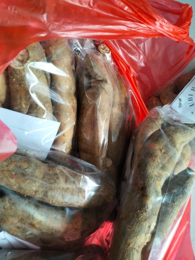 Ubi cilembu