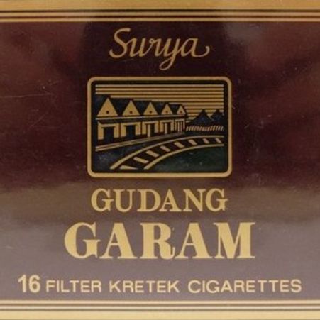 SURYA 16