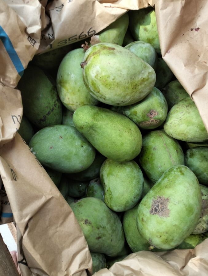 Mangga arum manis