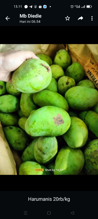 Mangga 1/2