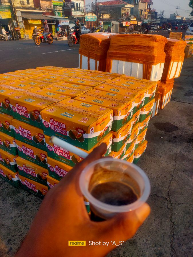 Mangga alpukat dus