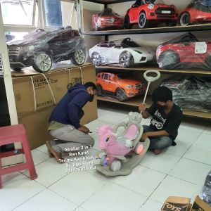 ET 2108 Pink Poni