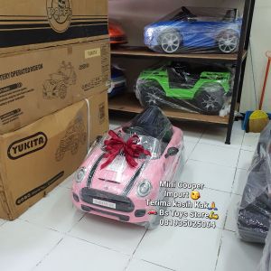 Ykt 06 Pink