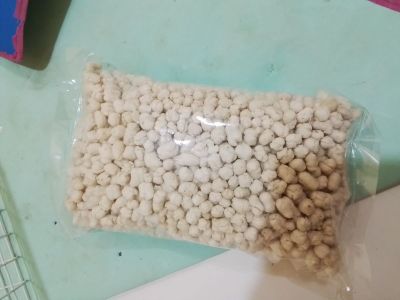 Pilus cikur