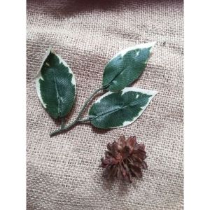 DAUN MAWAR (3cabang list putih)