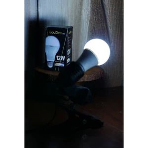 GOUDEN- Lampu Led Bulb 12W