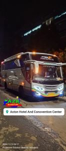MEDIUM BUS 31 KURSI