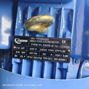 7,5Hp 1450Rpm 1Phase DBS