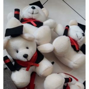 Boneka wisuda mini polos 